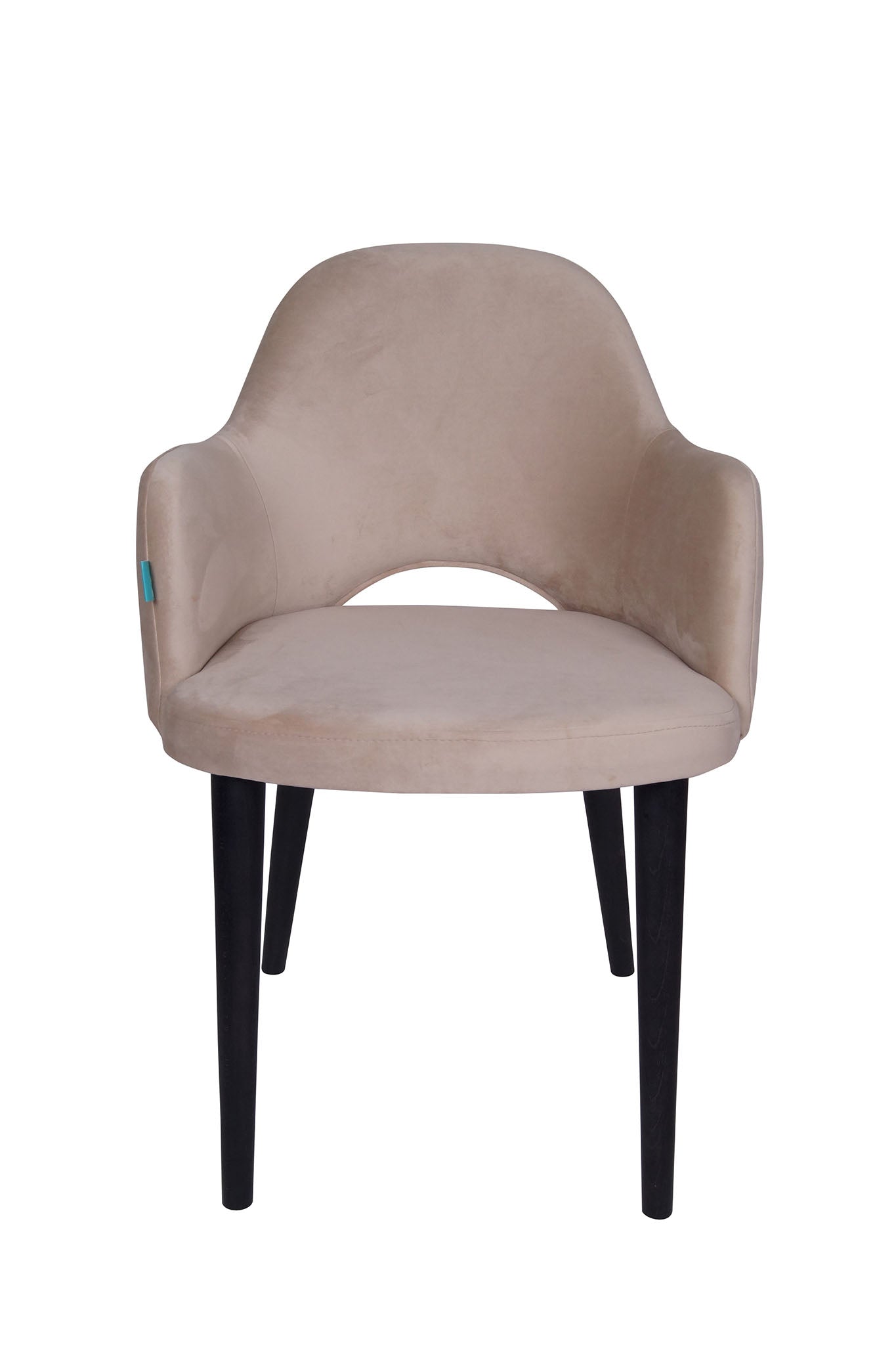 Jedilniški stol Ema - sodoben dizajn