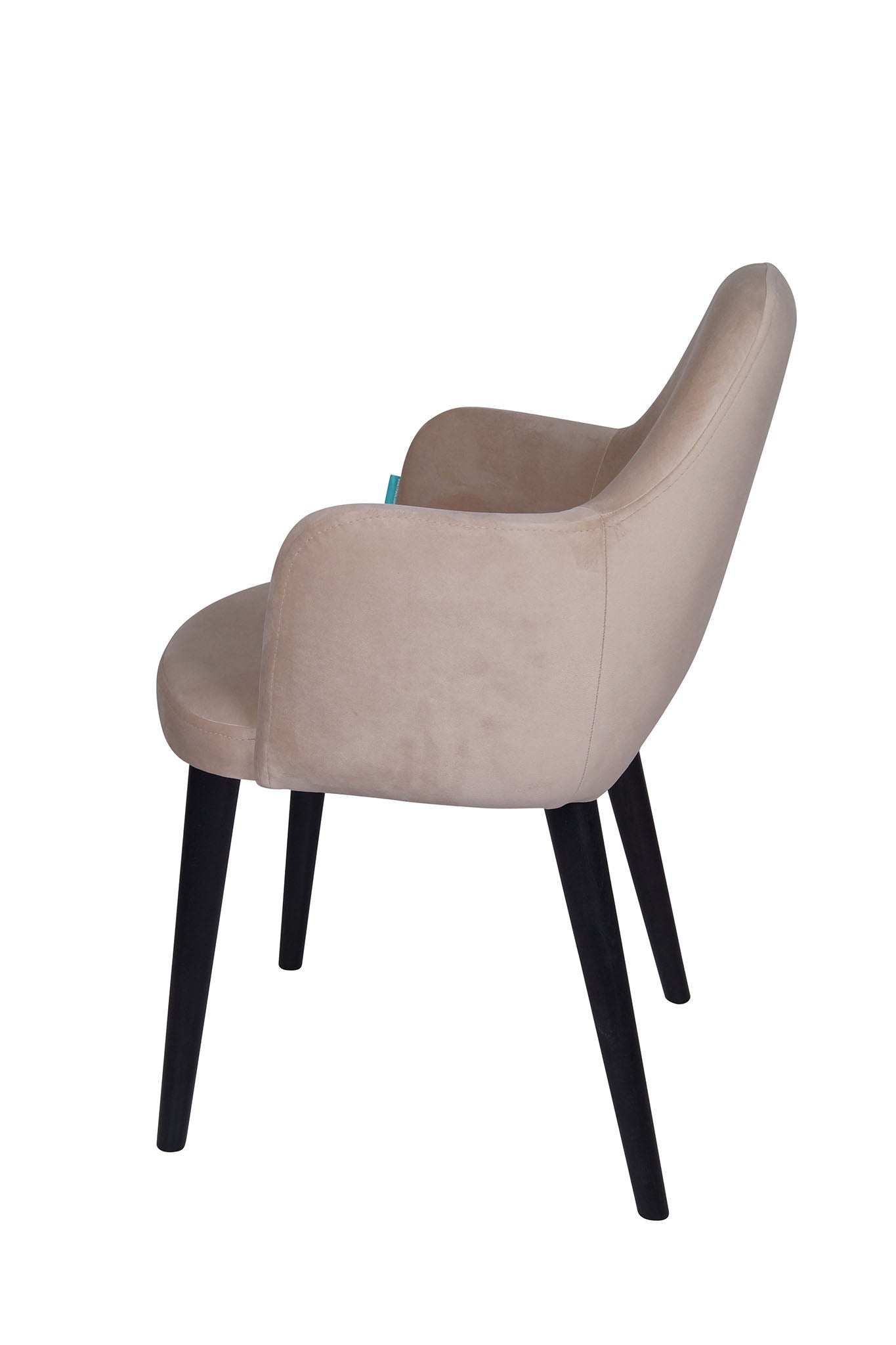 Jedilniški stol Ema - sodoben dizajn