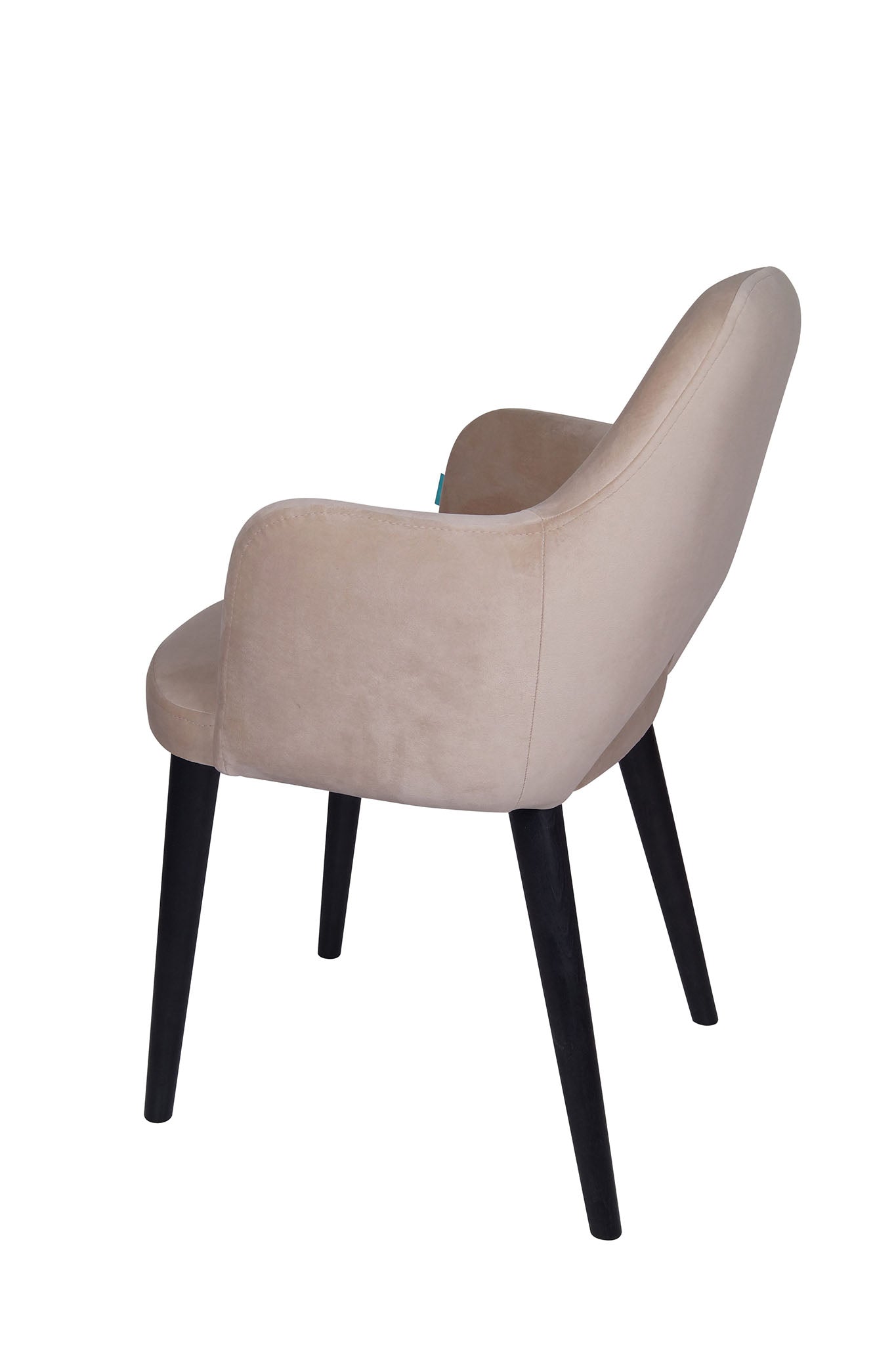 Jedilniški stol Ema - sodoben dizajn