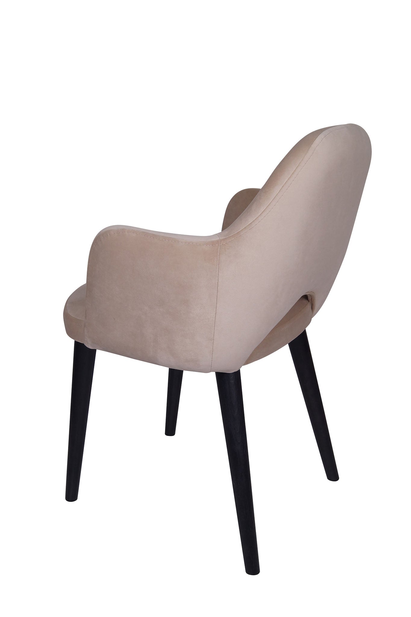 Jedilniški stol Ema - sodoben dizajn