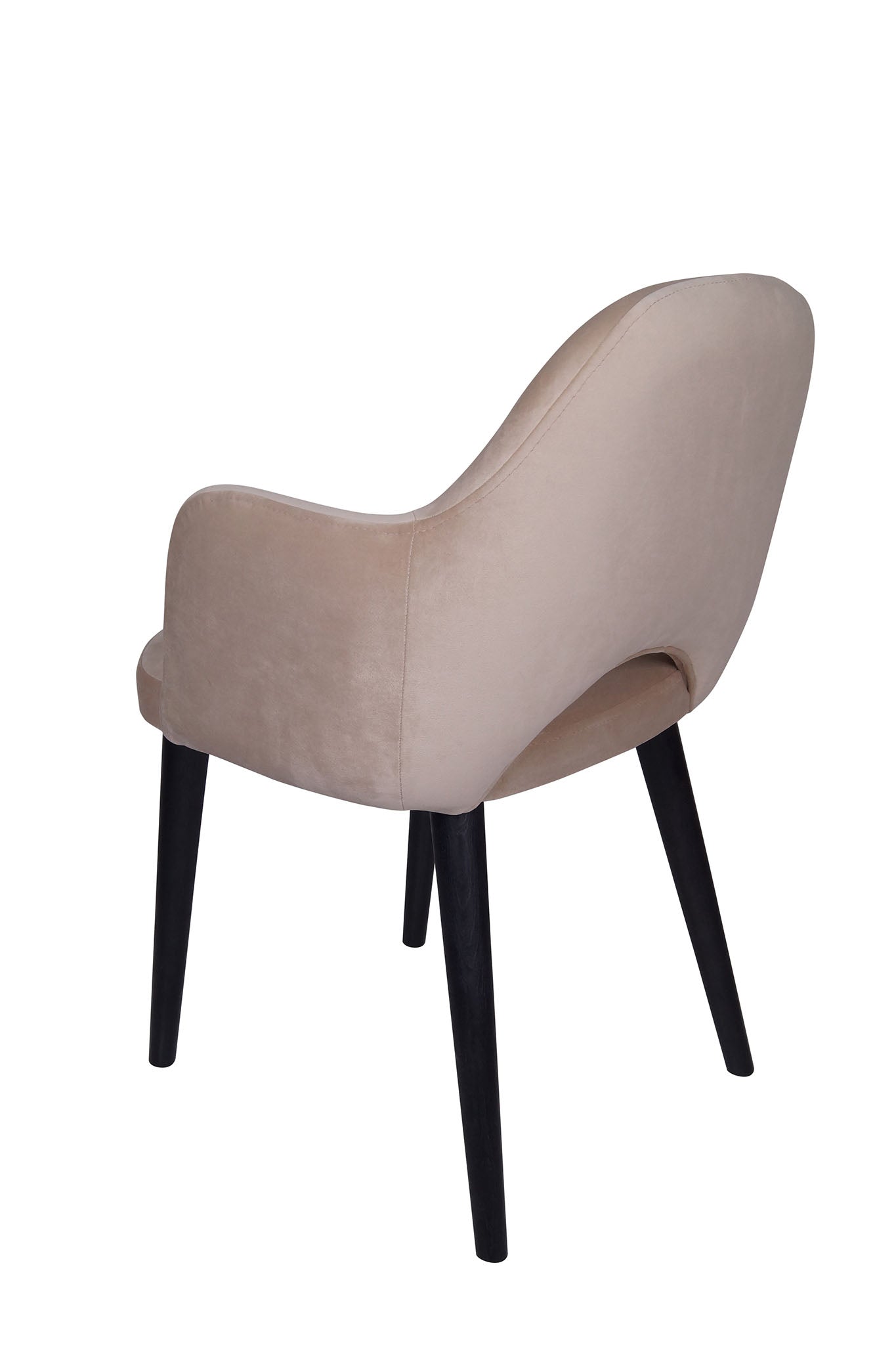 Jedilniški stol Ema - sodoben dizajn