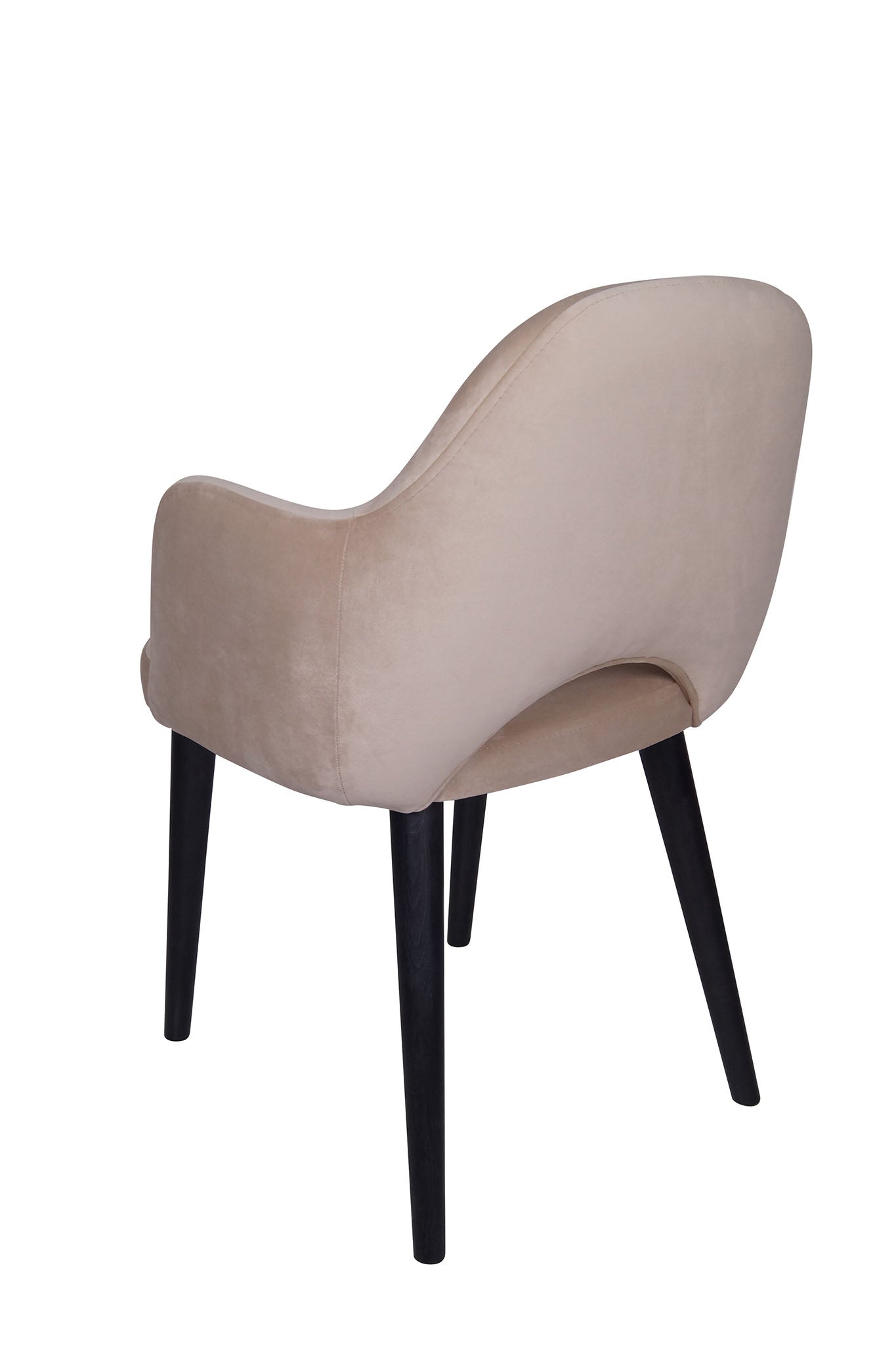 Jedilniški stol Ema - sodoben dizajn