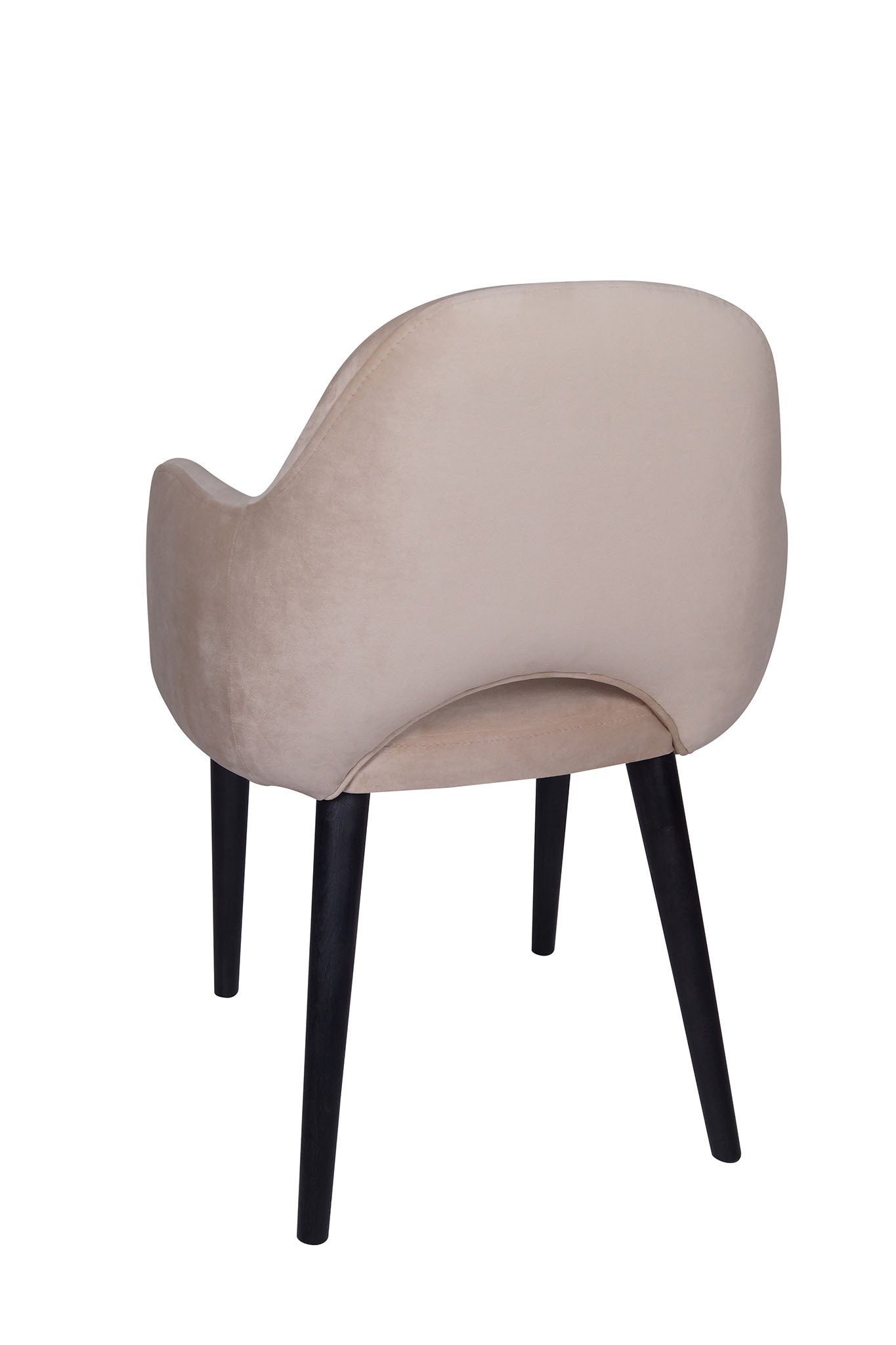 Jedilniški stol Ema - sodoben dizajn