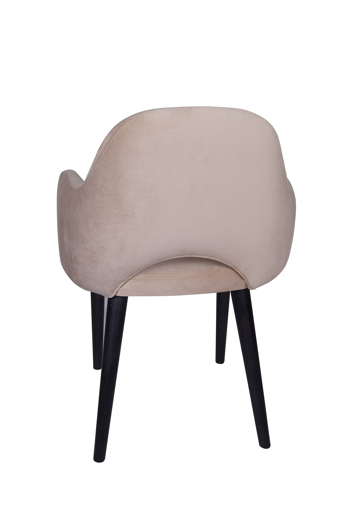 Jedilniški stol Ema - sodoben dizajn