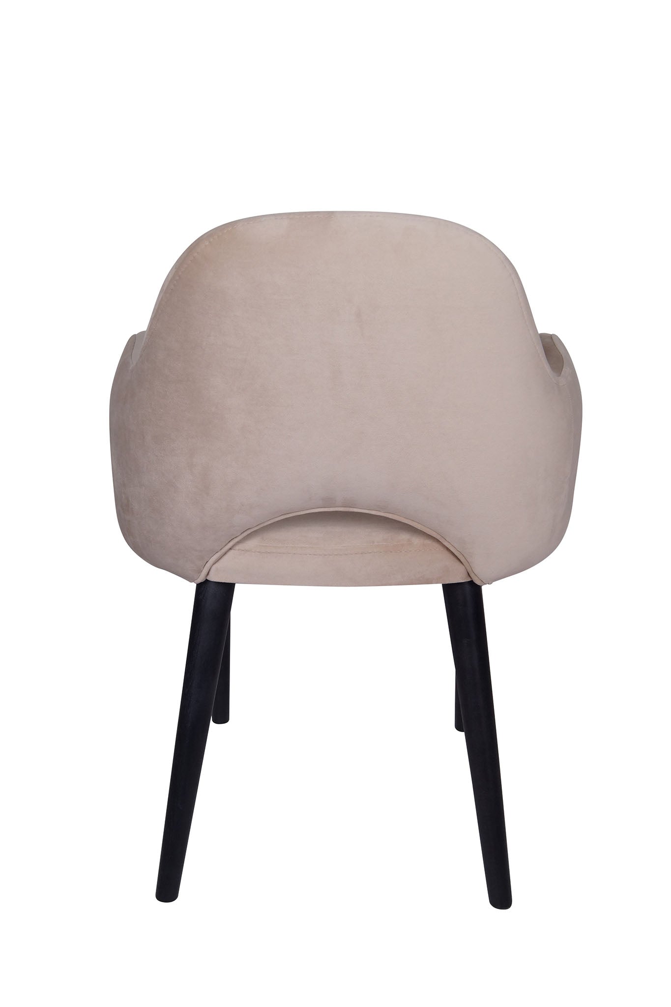 Jedilniški stol Ema - sodoben dizajn