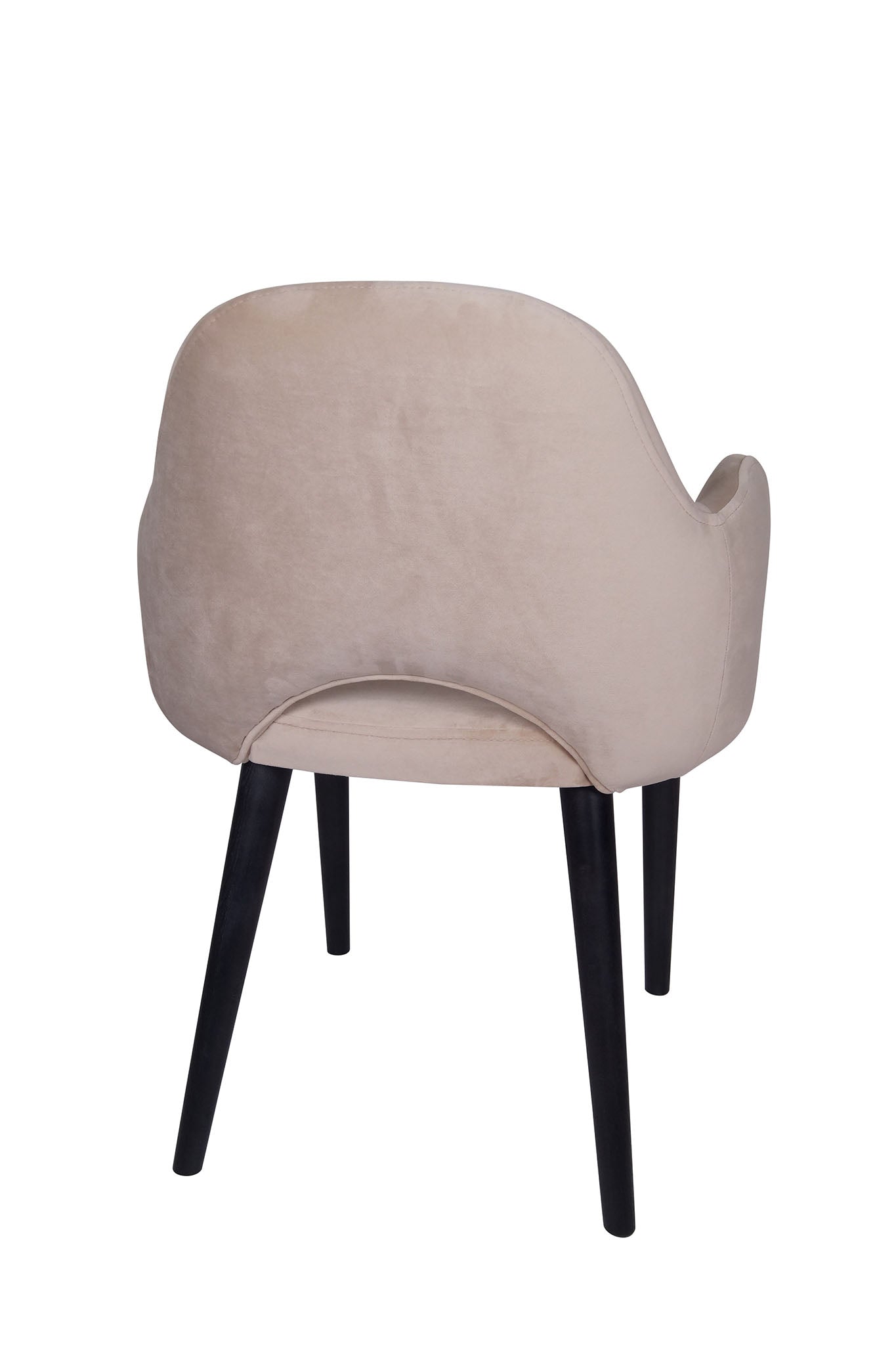 Jedilniški stol Ema - sodoben dizajn