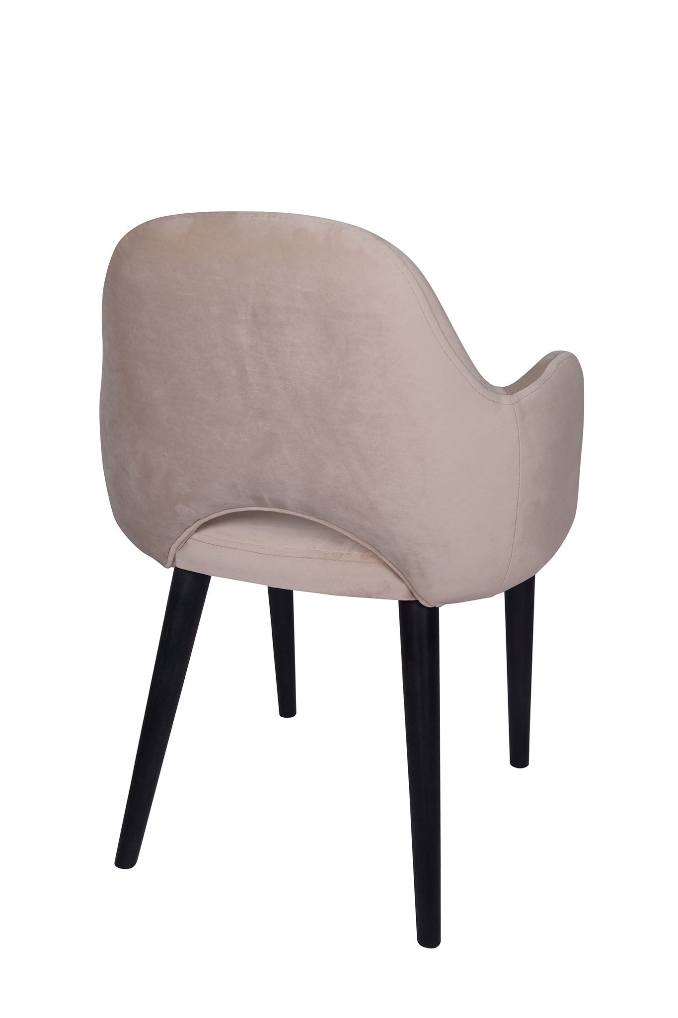 Jedilniški stol Ema - sodoben dizajn