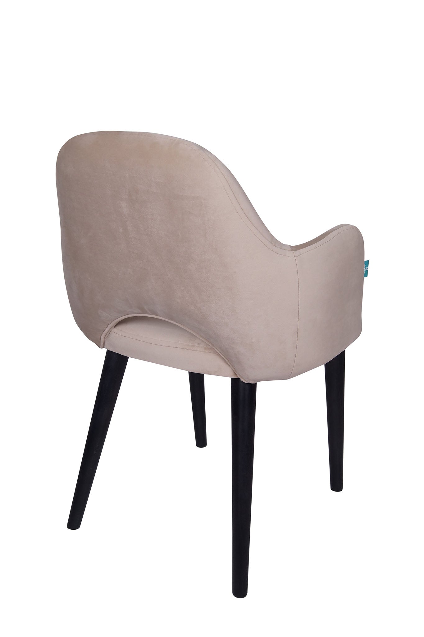 Jedilniški stol Ema - sodoben dizajn