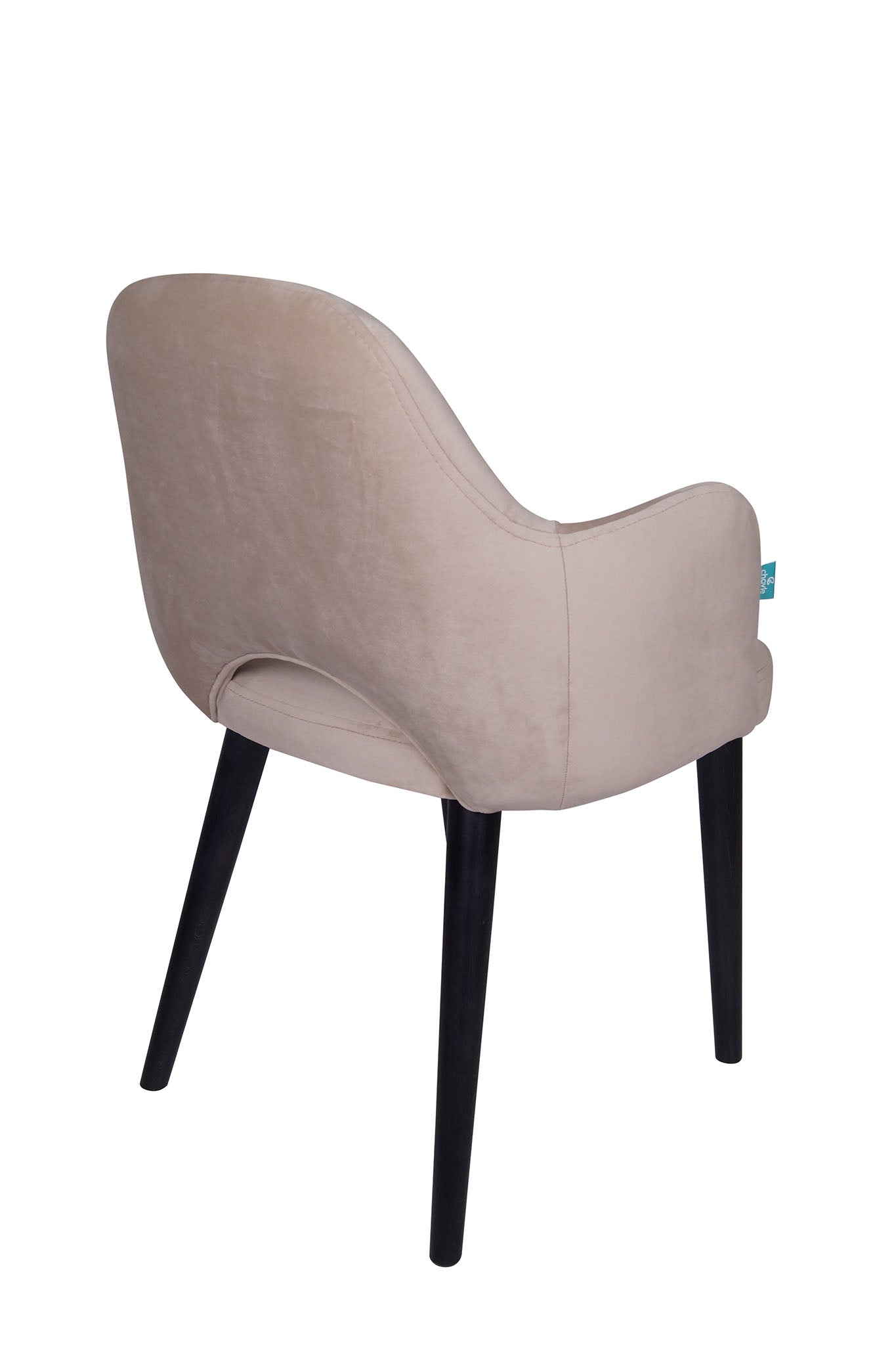 Jedilniški stol Ema - sodoben dizajn