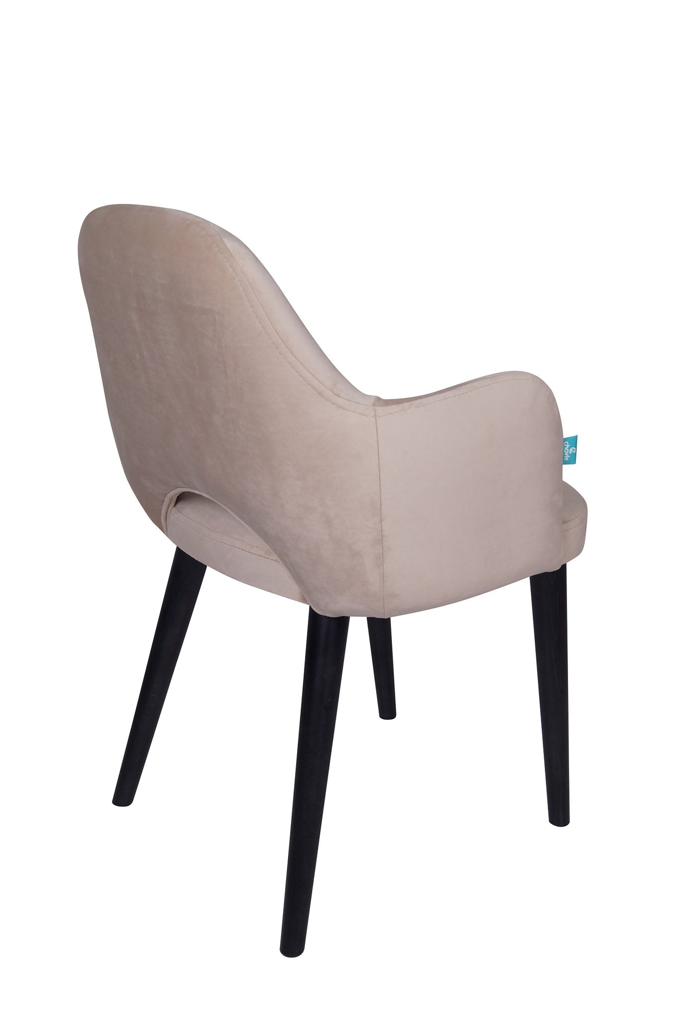 Jedilniški stol Ema - sodoben dizajn