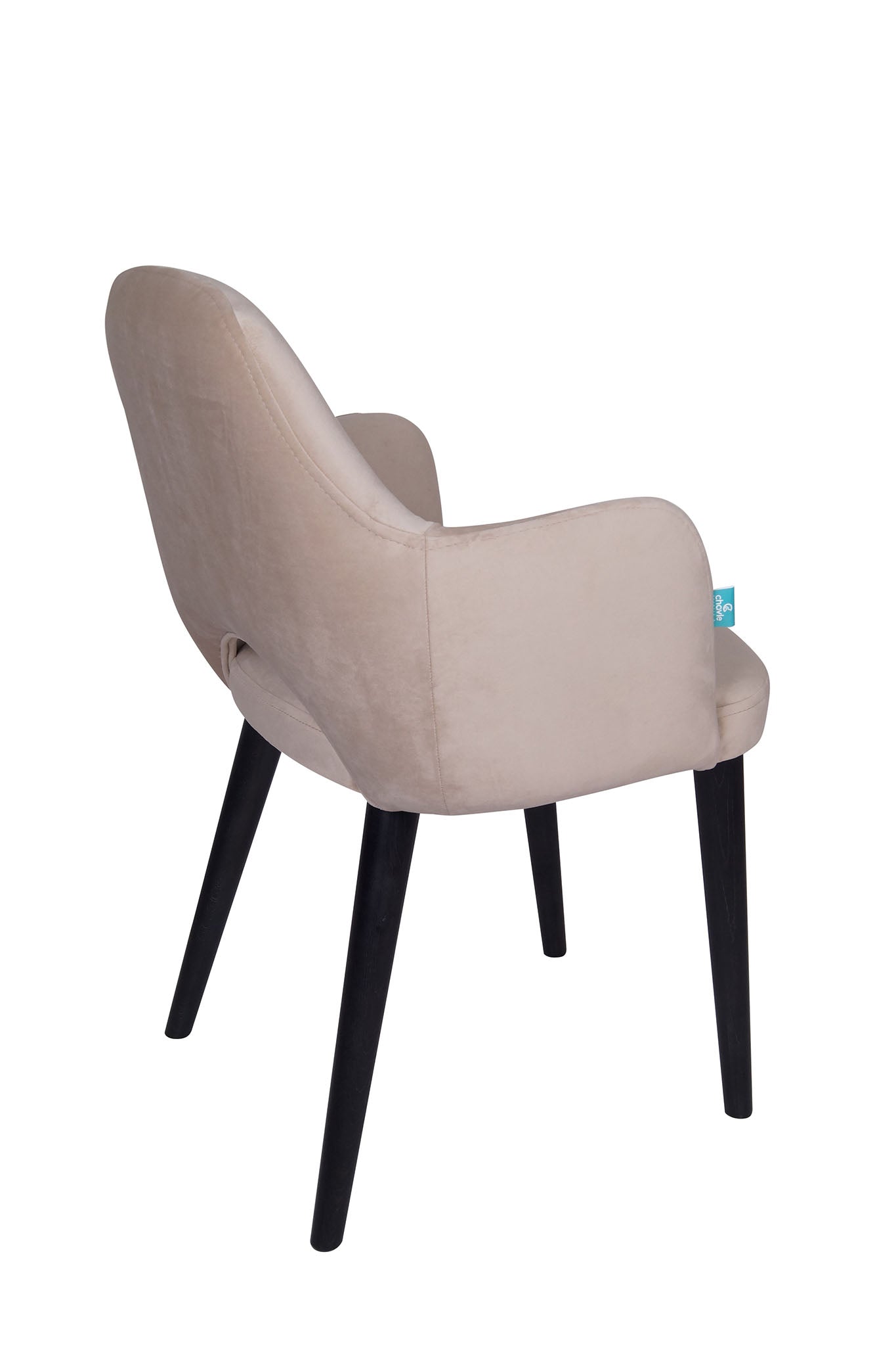 Jedilniški stol Ema - sodoben dizajn