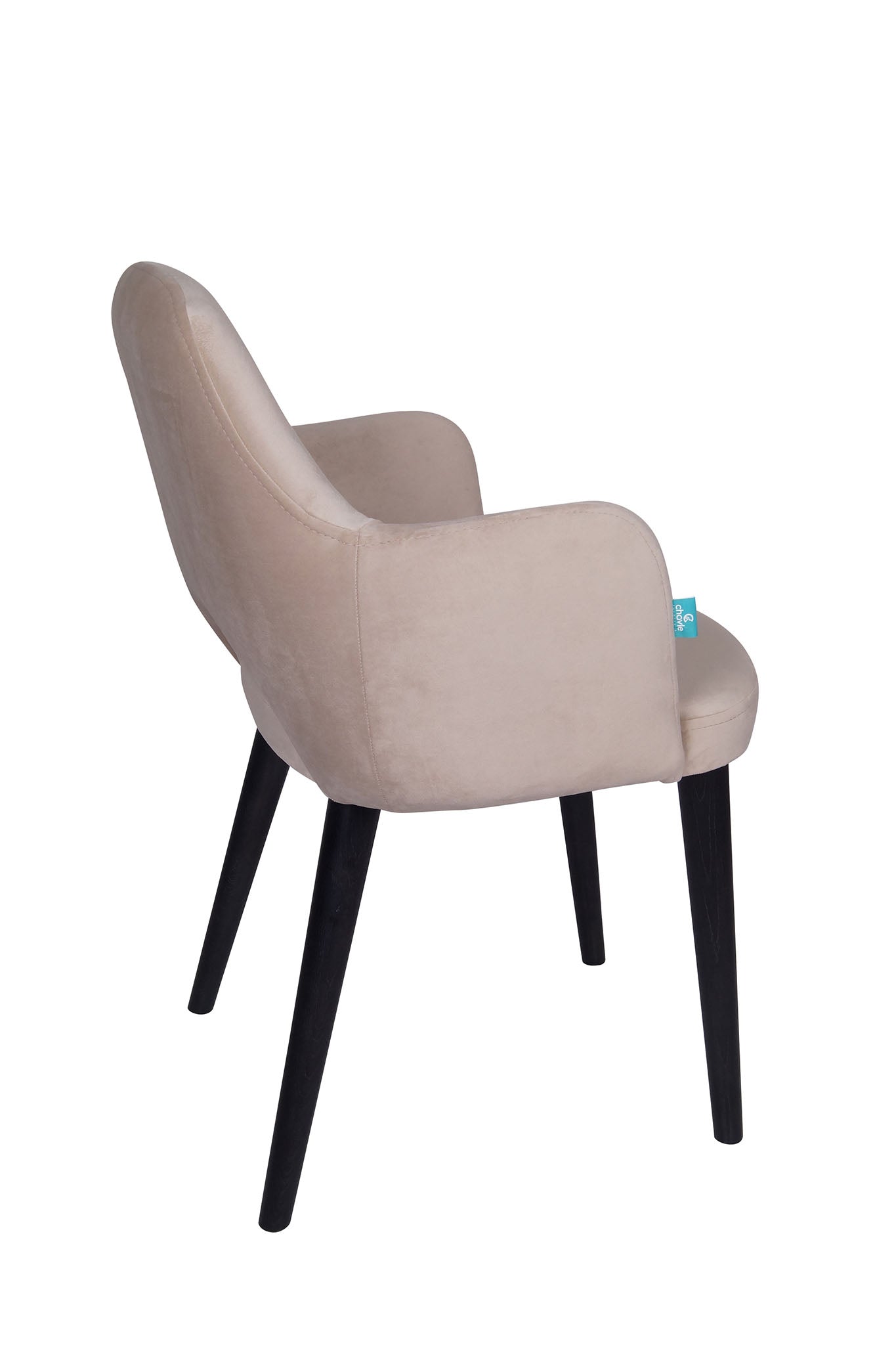 Jedilniški stol Ema - sodoben dizajn