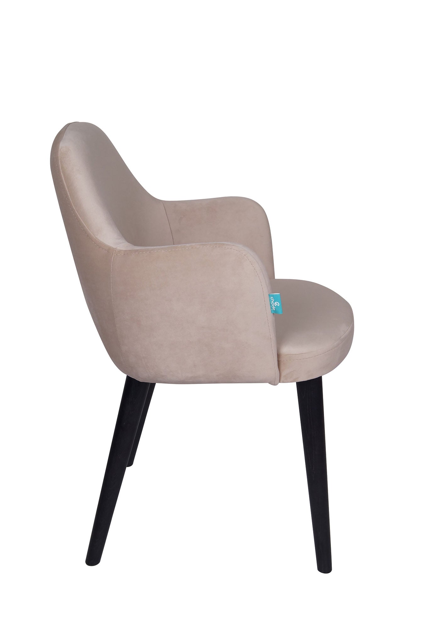 Jedilniški stol Ema - sodoben dizajn