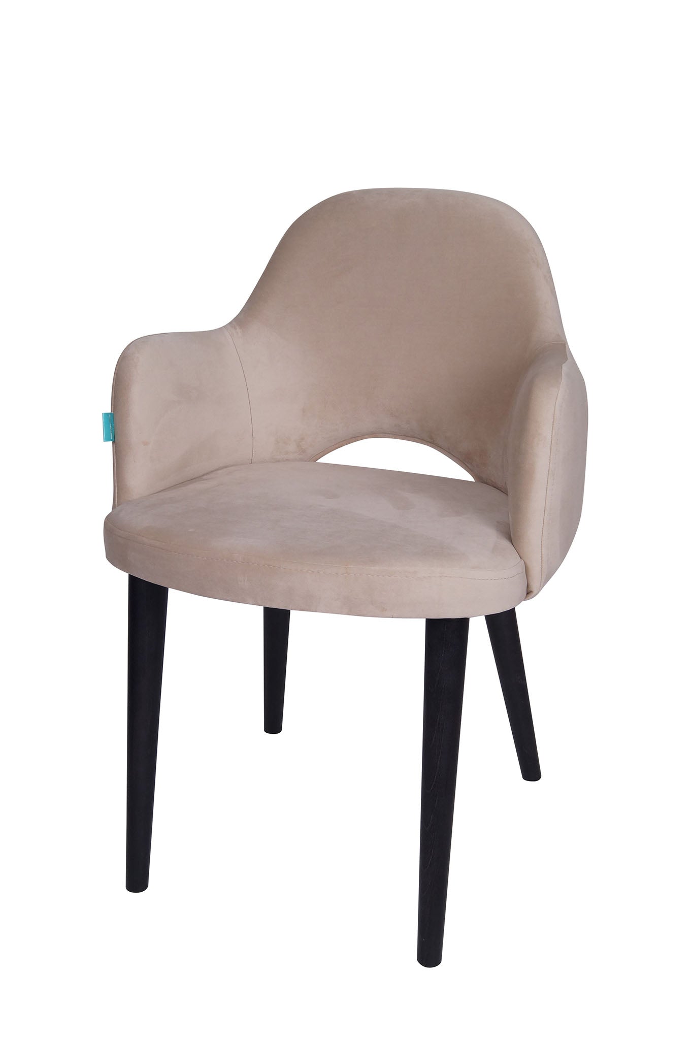 Jedilniški stol Ema - sodoben dizajn