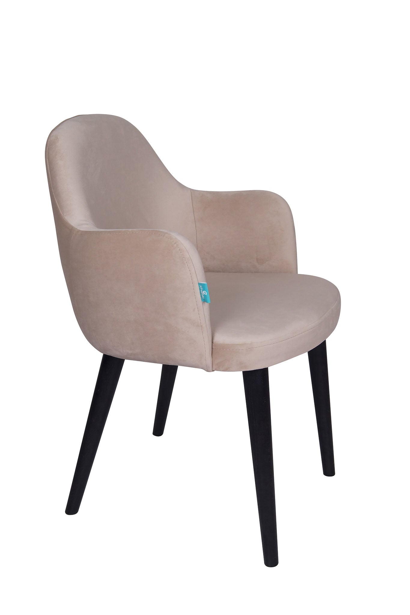 Jedilniški stol Ema - sodoben dizajn