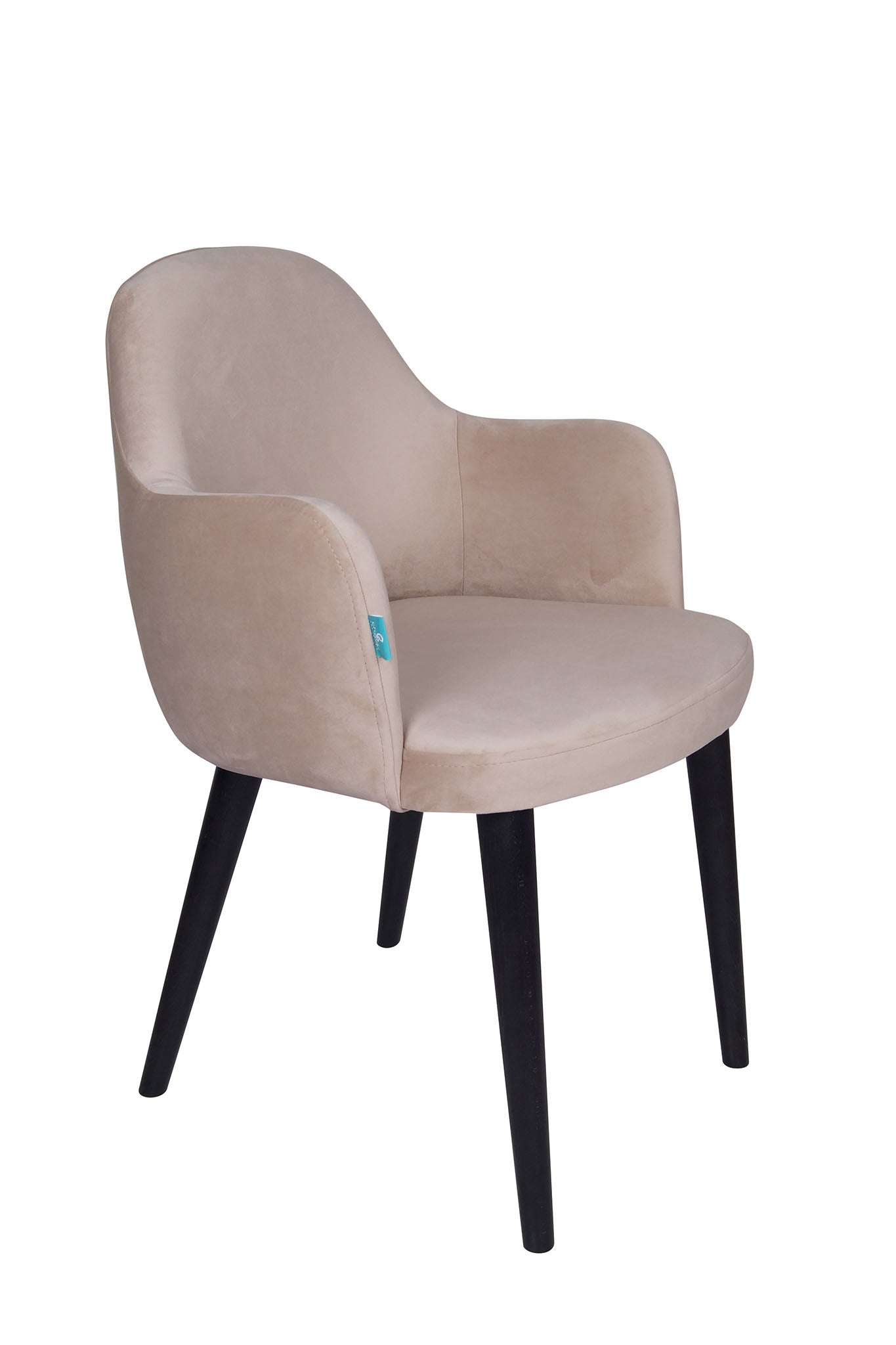 Jedilniški stol Ema - sodoben dizajn