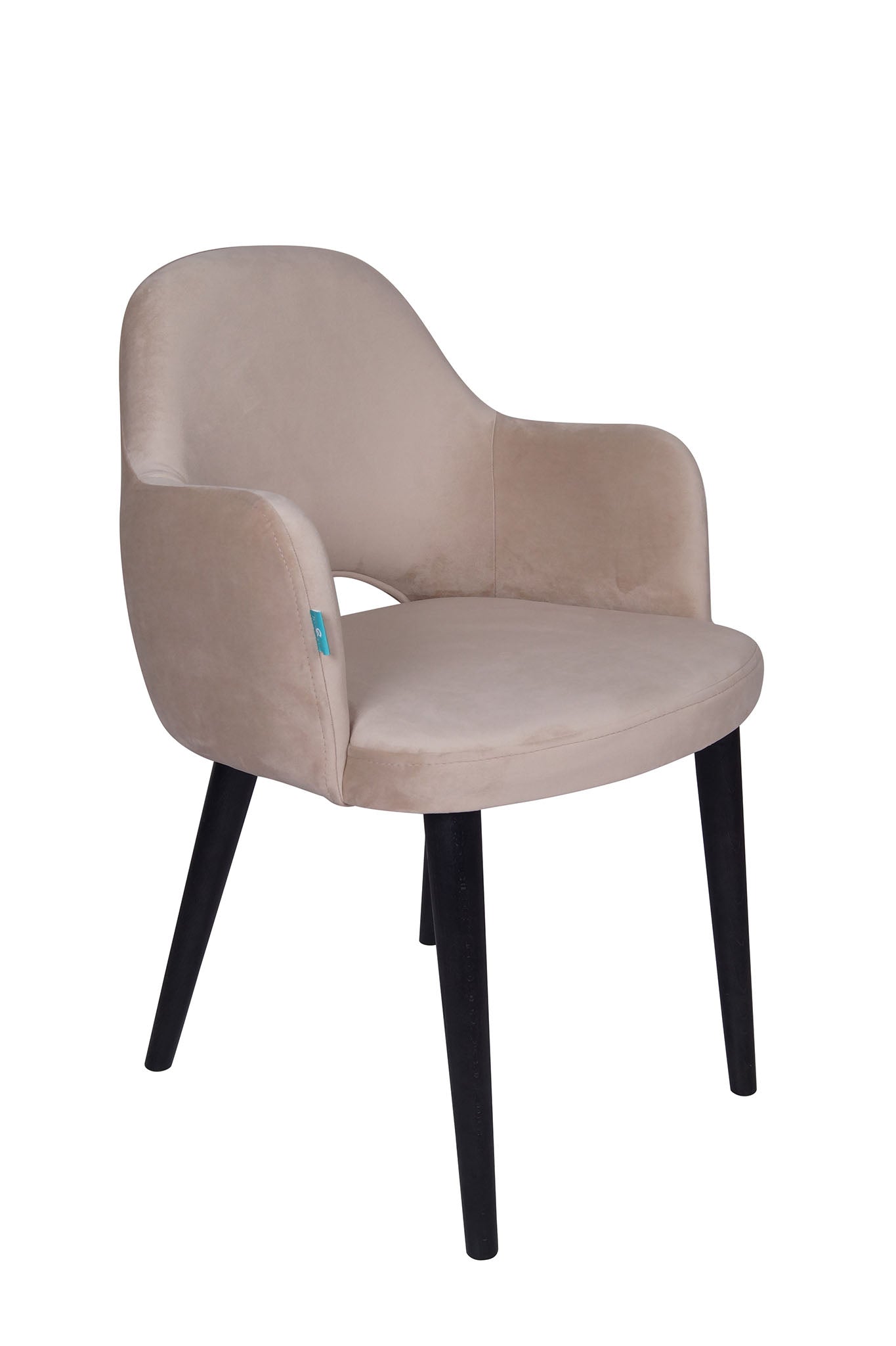 Jedilniški stol Ema - sodoben dizajn