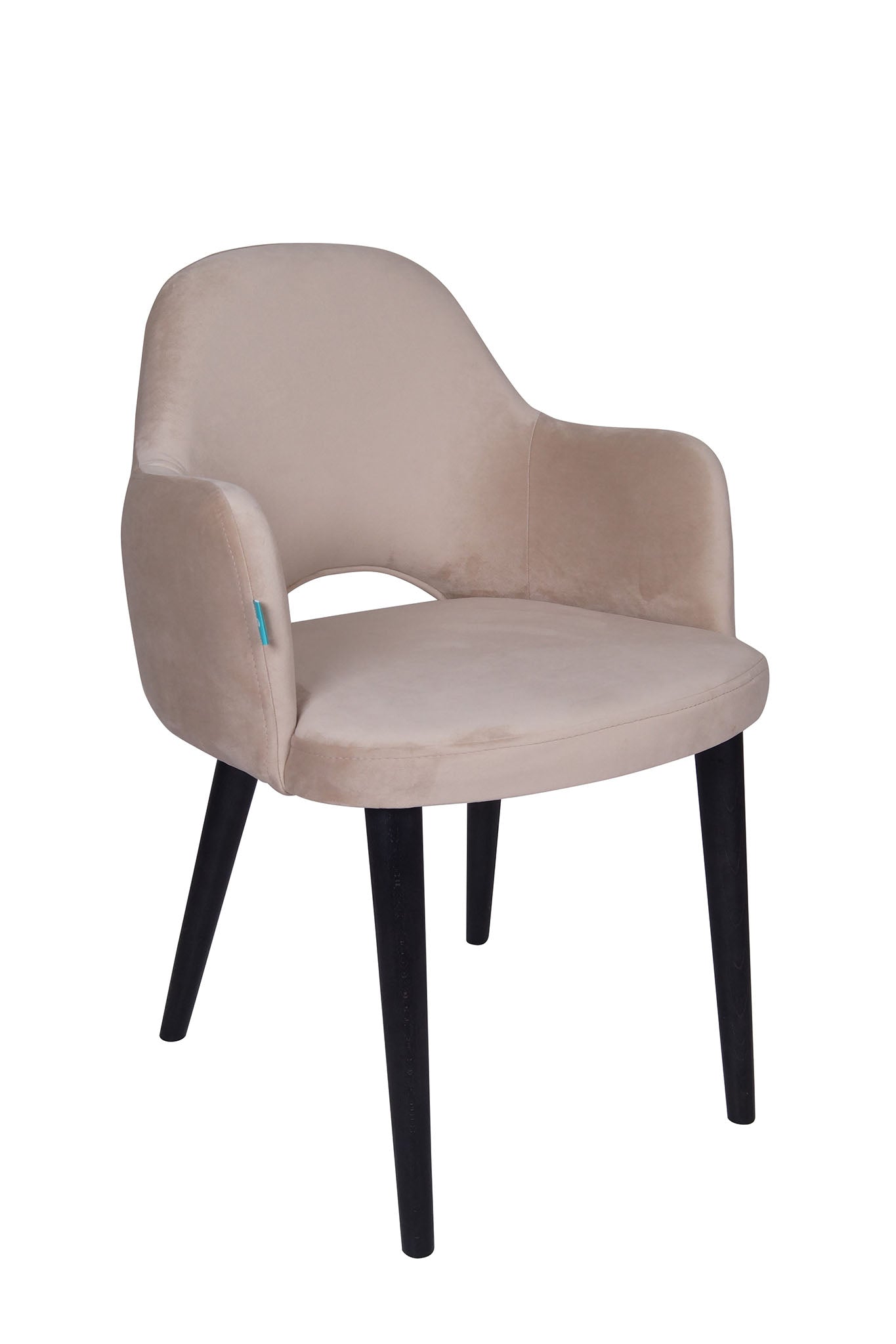 Jedilniški stol Ema - sodoben dizajn