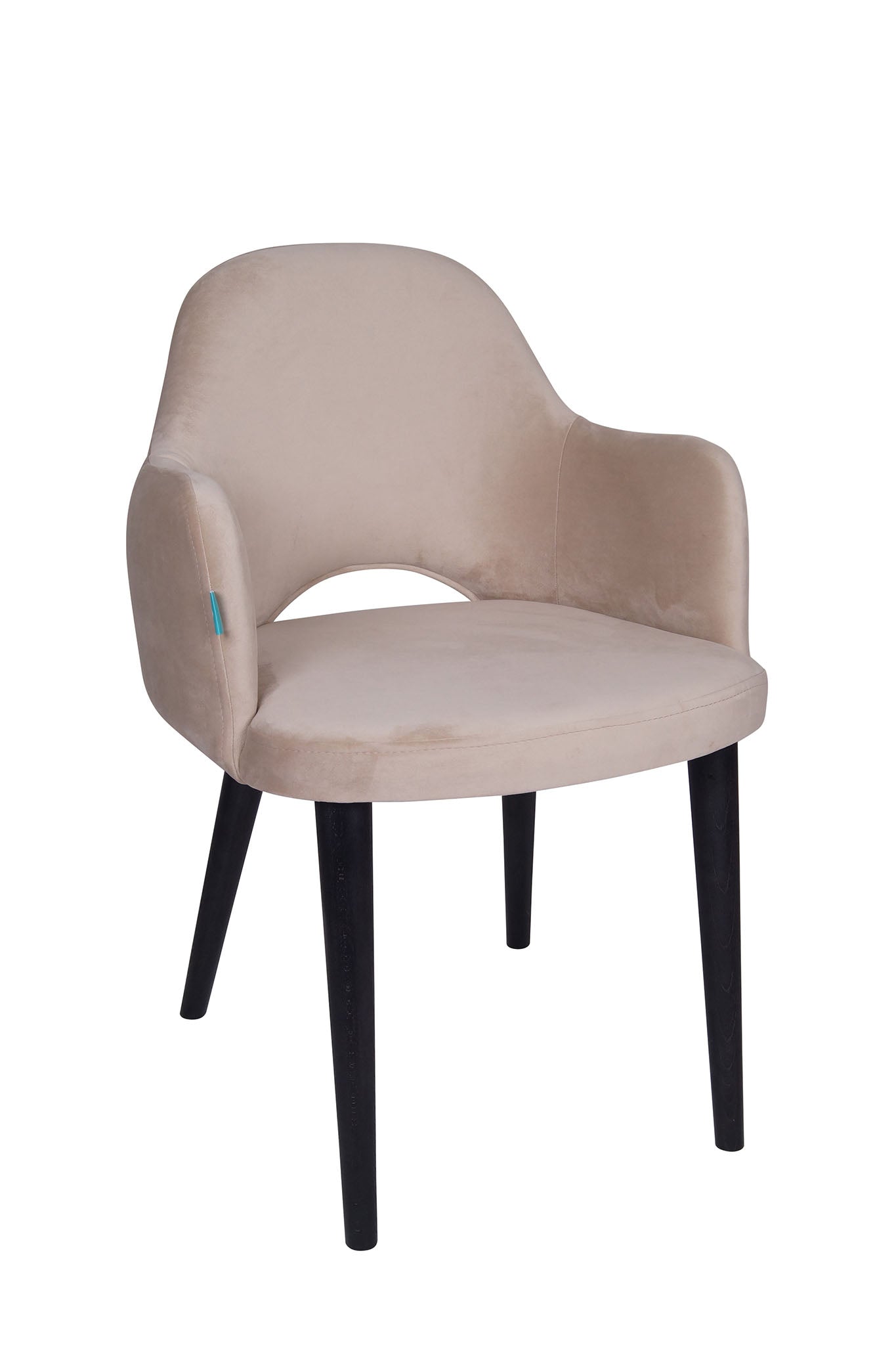 Jedilniški stol Ema - sodoben dizajn