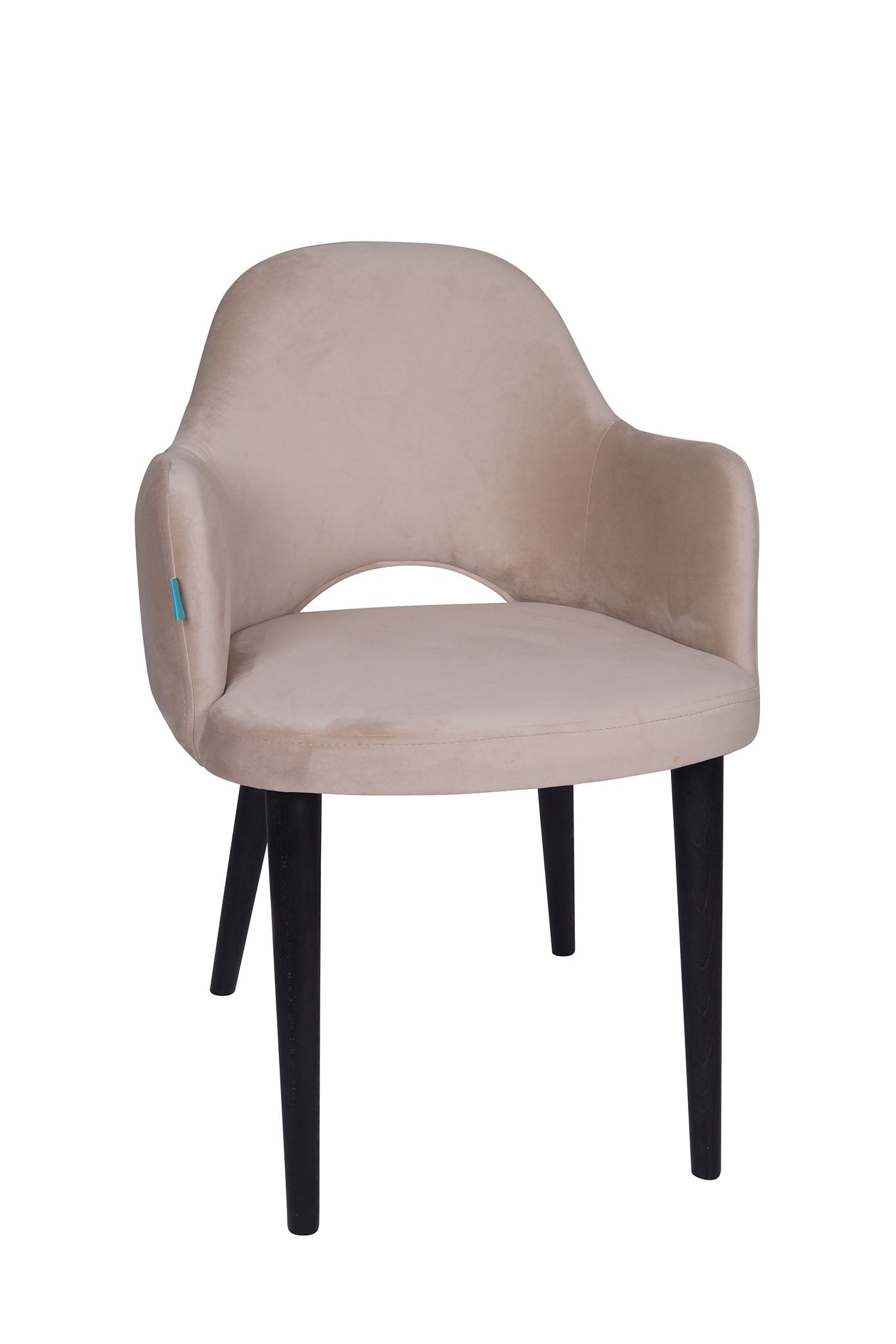 Jedilniški stol Ema - sodoben dizajn