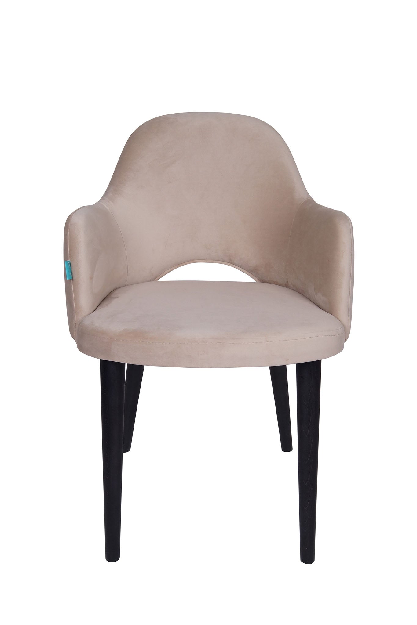 Jedilniški stol Ema - sodoben dizajn