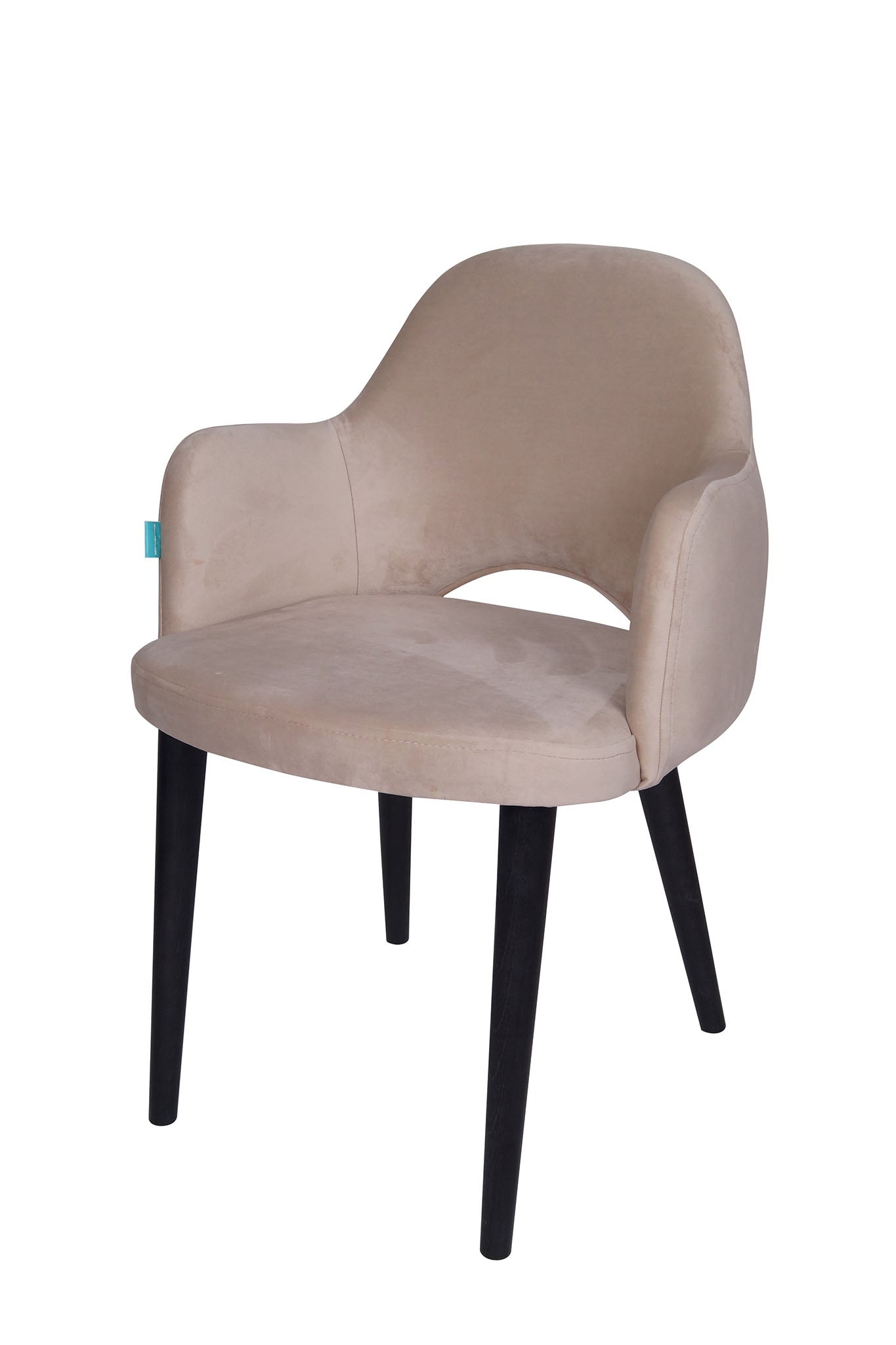 Jedilniški stol Ema - sodoben dizajn