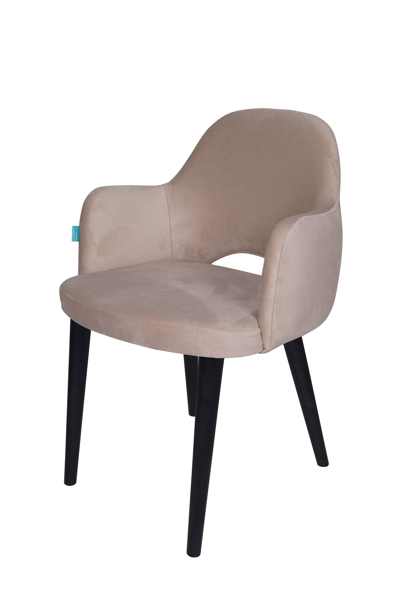 Jedilniški stol Ema - sodoben dizajn