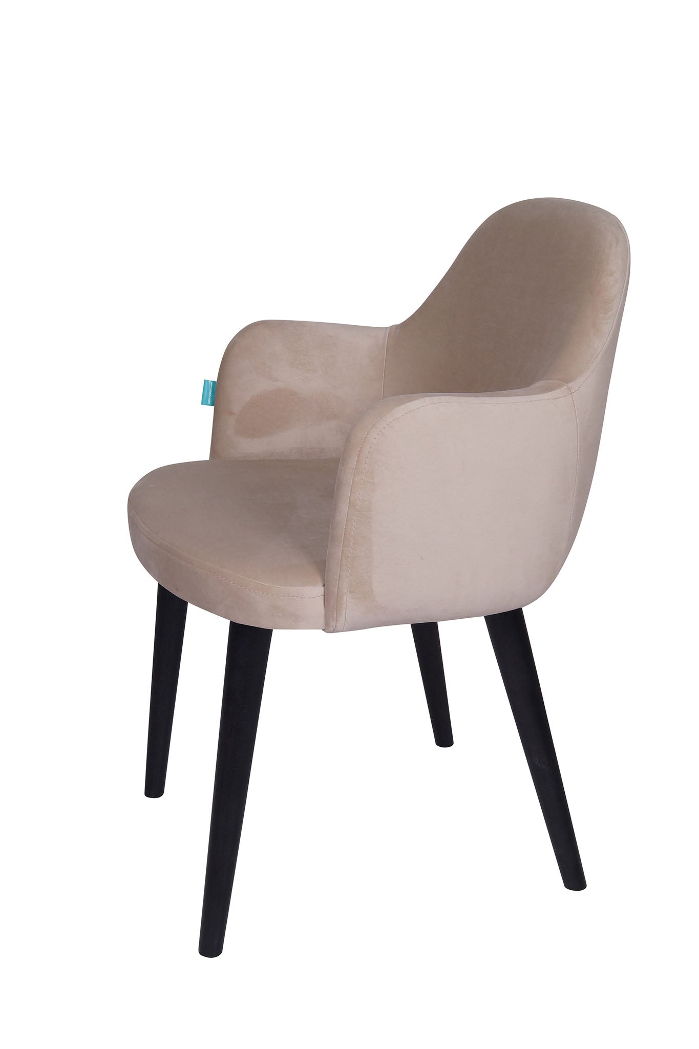 Jedilniški stol Ema - sodoben dizajn