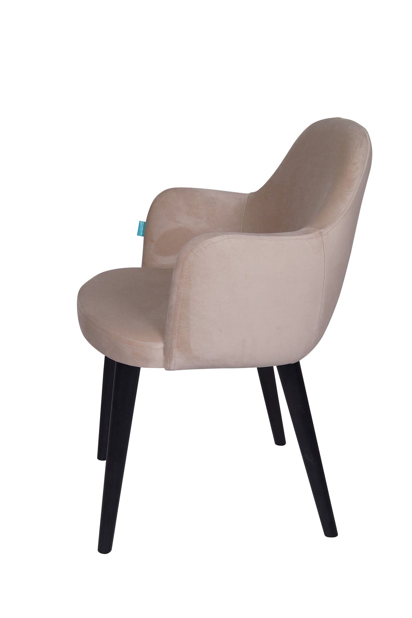 Jedilniški stol Ema - sodoben dizajn